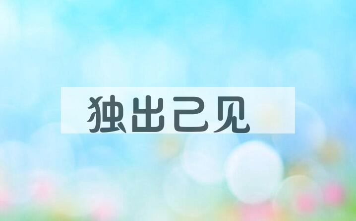 成语独出己见是什么意思？