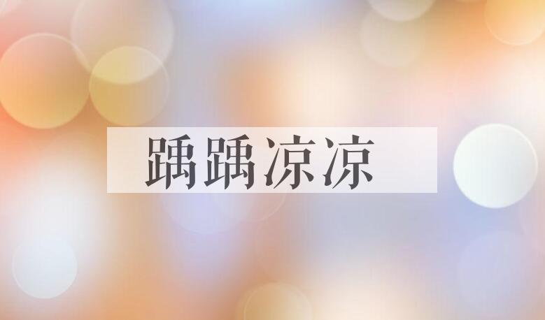 成语踽踽凉凉是什么意思？