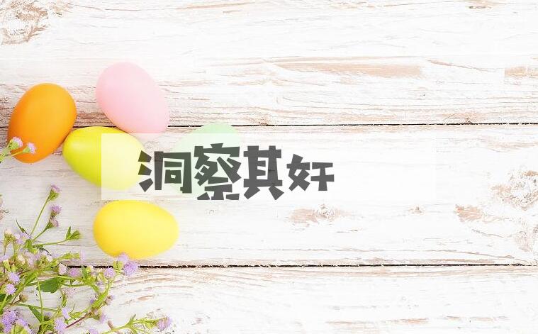 成语洞察其奸是什么意思？