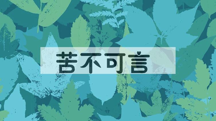成语苦不可言是什么意思？