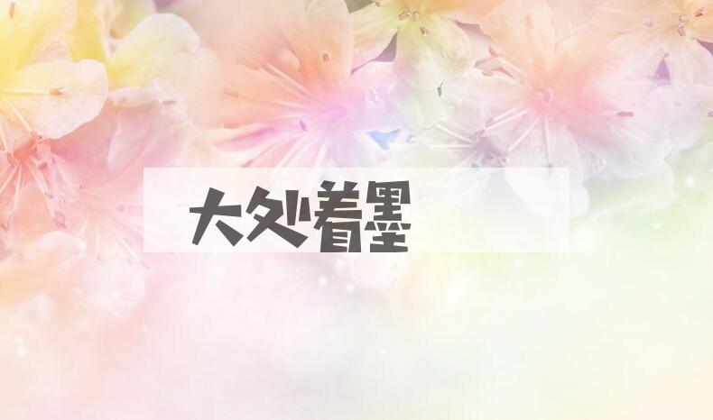 成语大处着墨是什么意思？