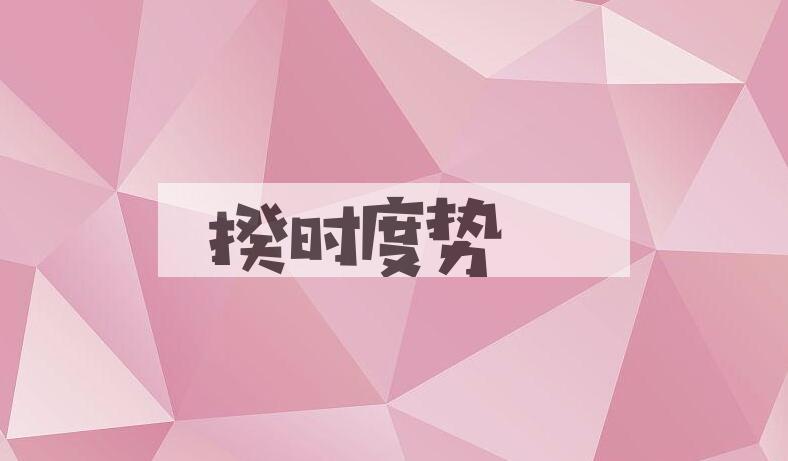 成语揆时度势是什么意思？