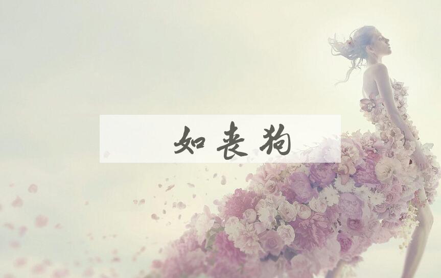 成语傫如丧狗是什么意思？