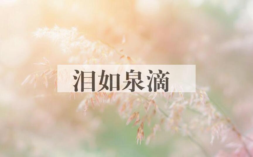 成语泪如泉滴是什么意思？