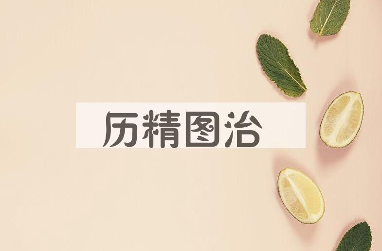 成语历精图治是什么意思？