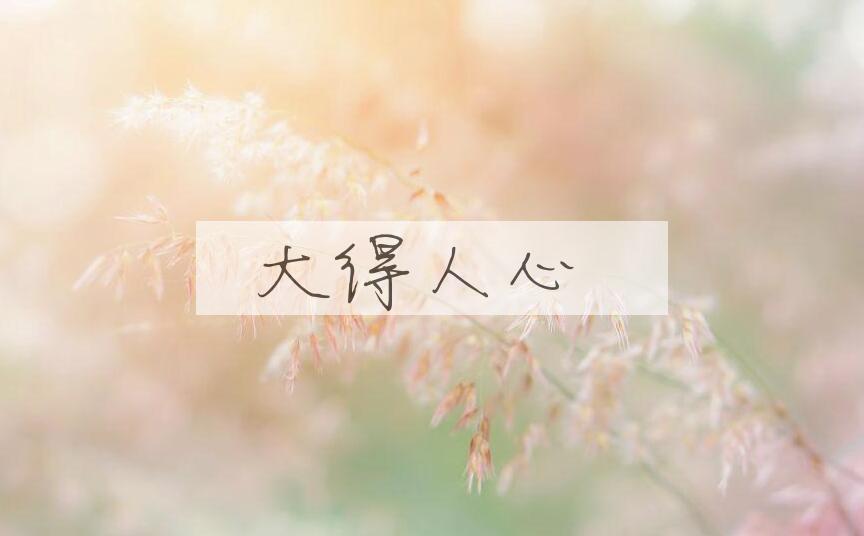 成语大得人心是什么意思？