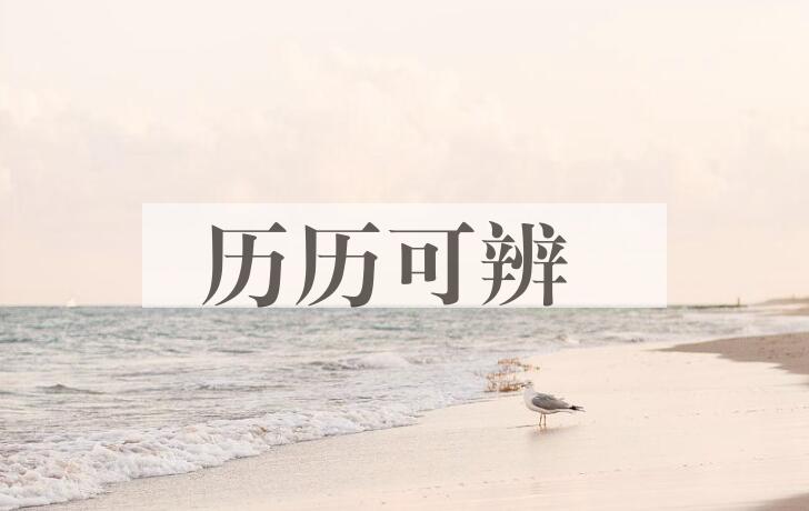 成语历历可辨是什么意思？