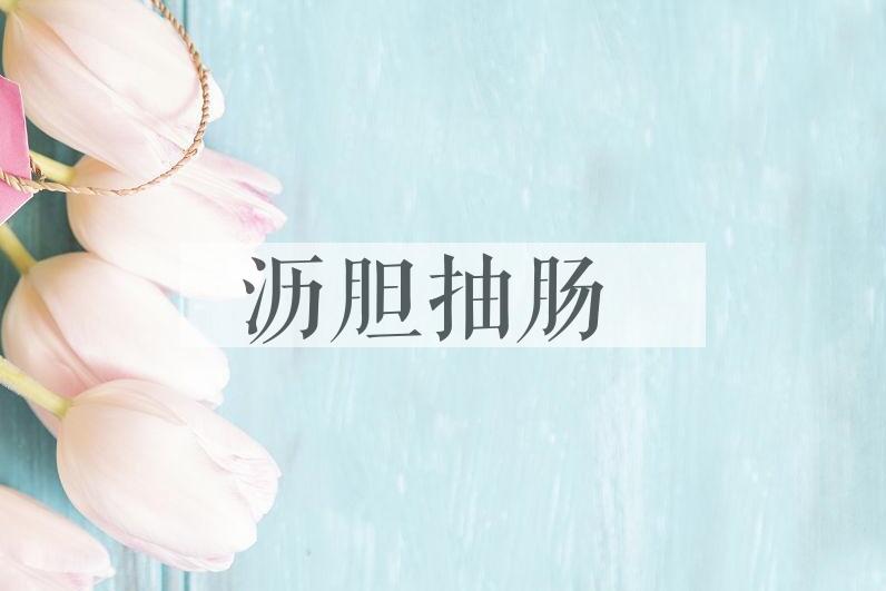 成语沥胆抽肠是什么意思？