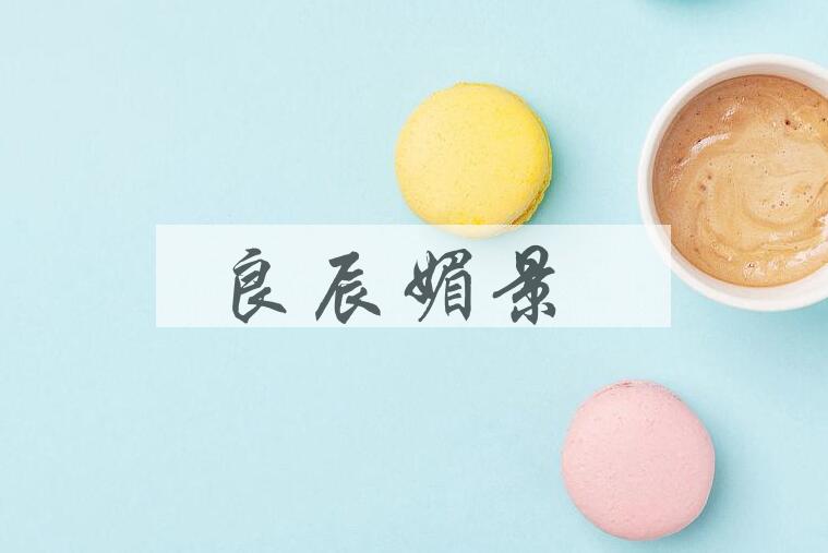 成语良辰媚景是什么意思？
