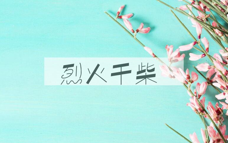 成语烈火干柴是什么意思？