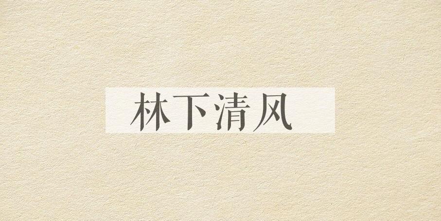 成语林下清风是什么意思？
