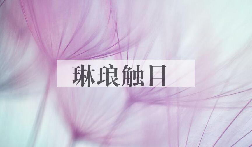 成语琳琅触目是什么意思？