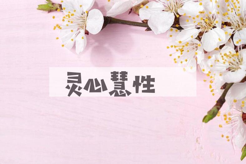 成语灵心慧性是什么意思？