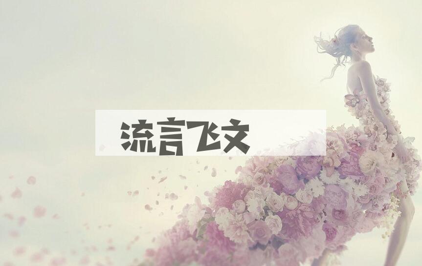 成语流言飞文是什么意思？