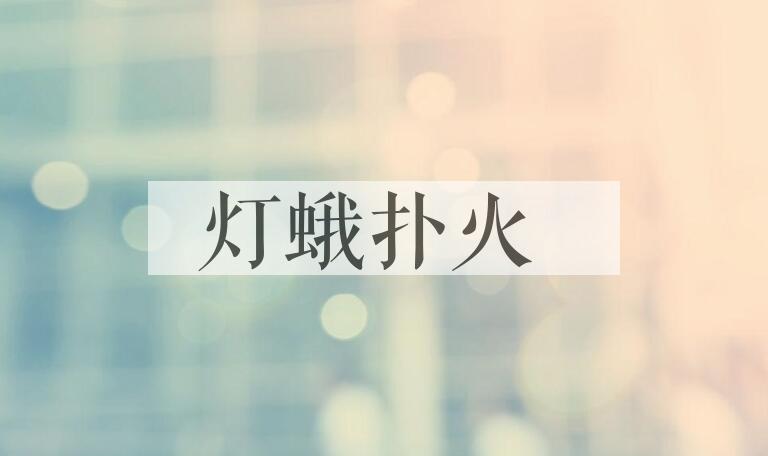 成语灯蛾扑火是什么意思？