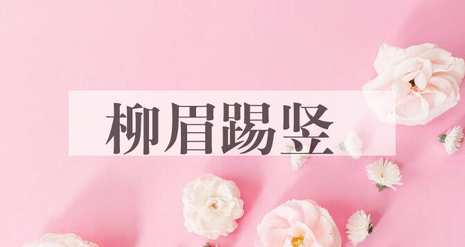 成语柳眉踢竖是什么意思？