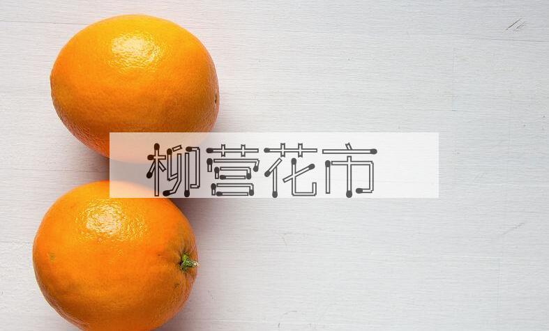 成语柳营花市是什么意思？