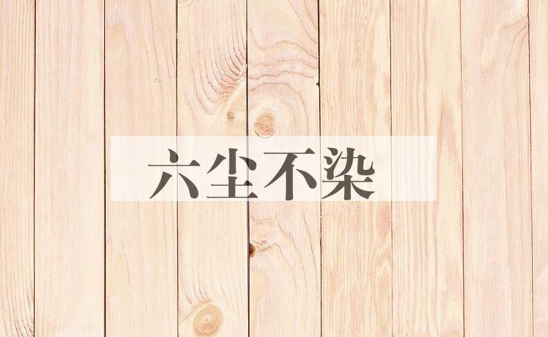 成语六尘不染是什么意思？