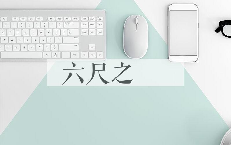成语六尺之讬是什么意思？