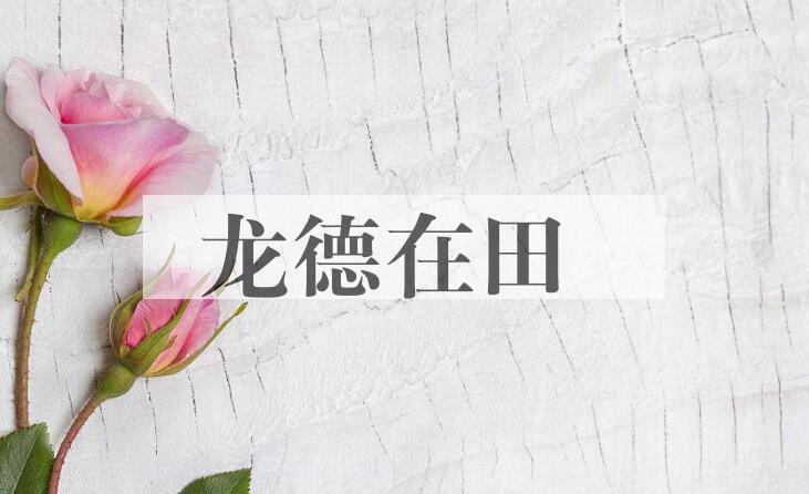 成语龙德在田是什么意思？