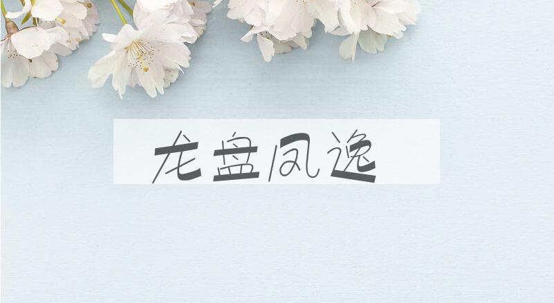 成语龙盘凤逸是什么意思？