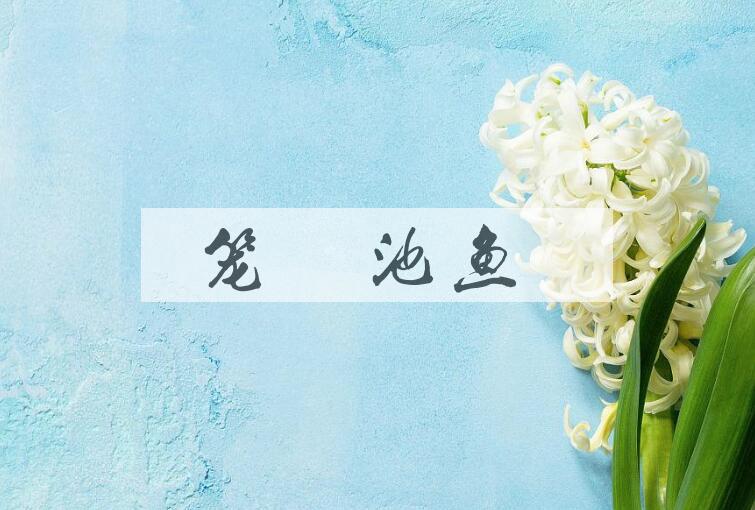 成语笼鸟池鱼是什么意思？