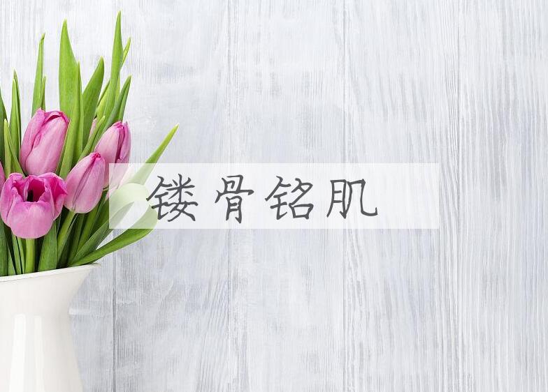 成语镂骨铭肌是什么意思？