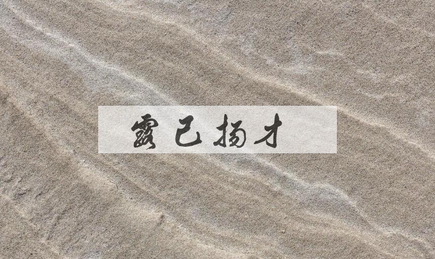 成语露己扬才是什么意思？
