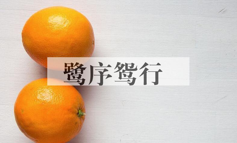 成语鹭序鸳行是什么意思？