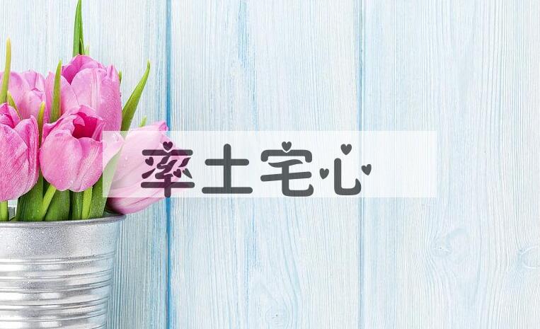 成语率土宅心是什么意思？