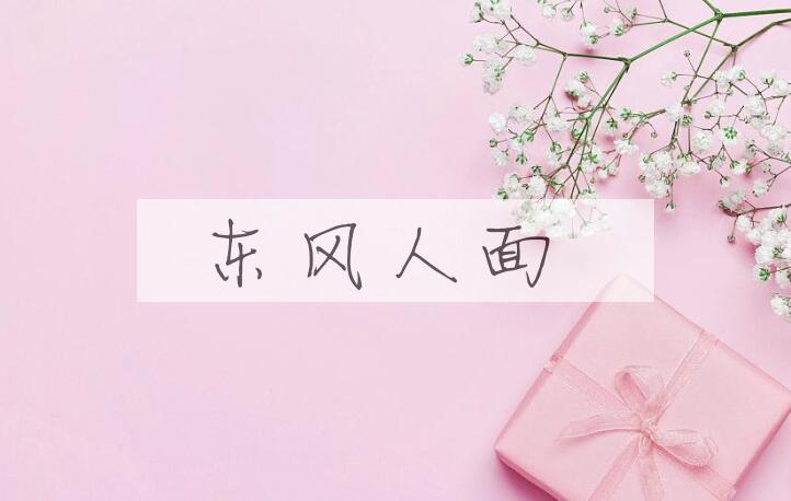 成语东风人面是什么意思？