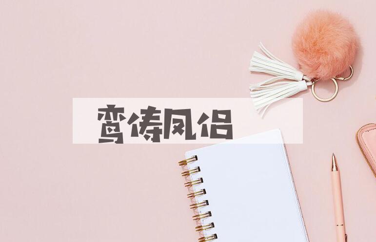 成语鸾俦凤侣是什么意思？