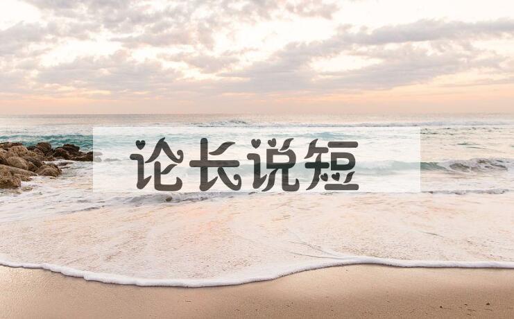 成语论长说短是什么意思？
