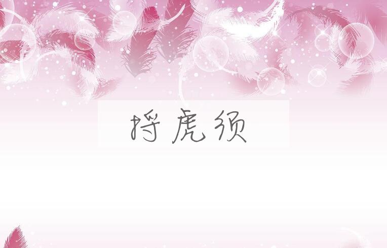 成语捋虎须是什么意思？