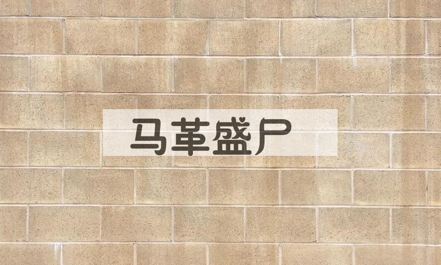 成语马革盛尸是什么意思？