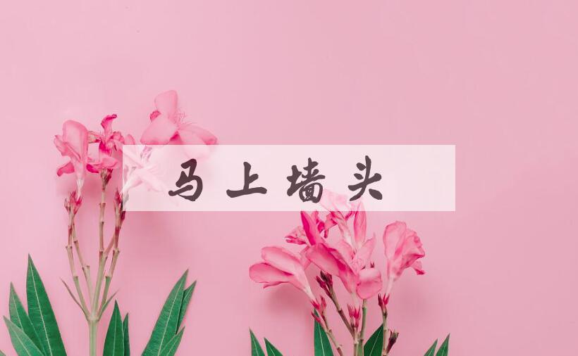 成语马上墙头是什么意思？