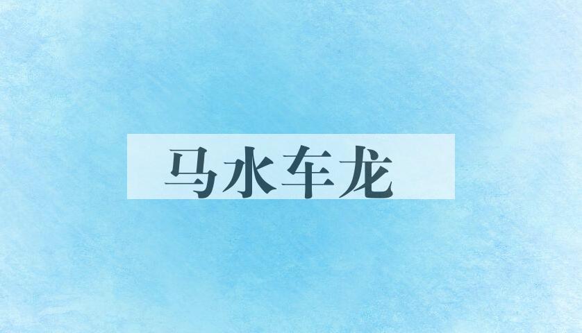 成语马水车龙是什么意思？