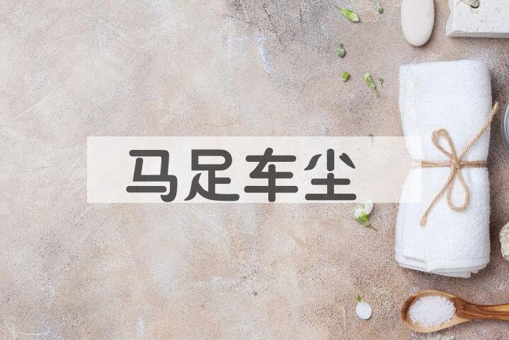 成语马足车尘是什么意思？