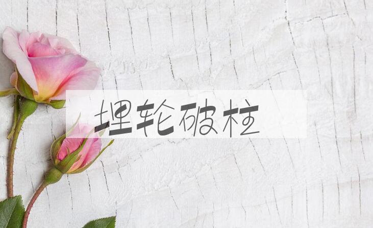 成语埋轮破柱是什么意思？