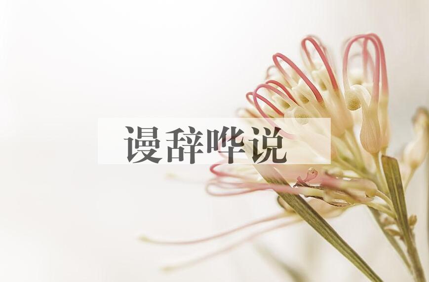 成语谩辞哗说是什么意思？