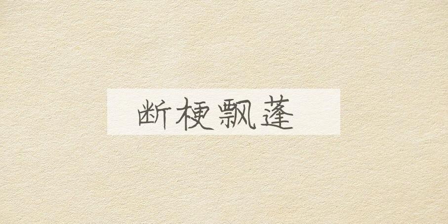 成语断梗飘蓬是什么意思？