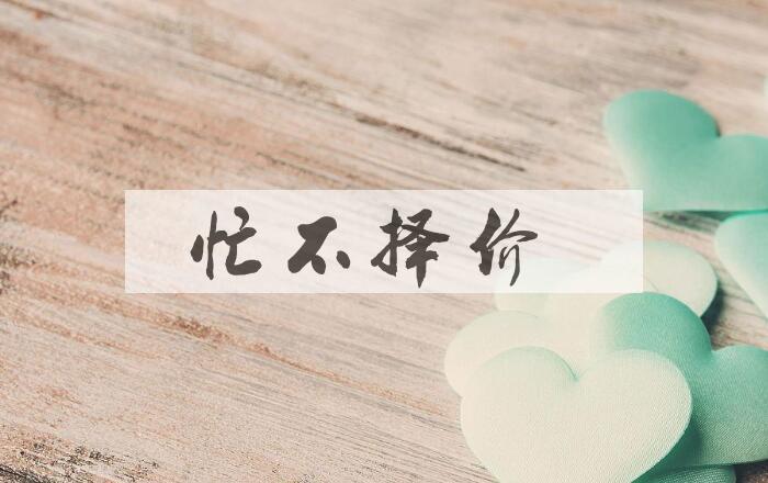 成语忙不择价是什么意思？