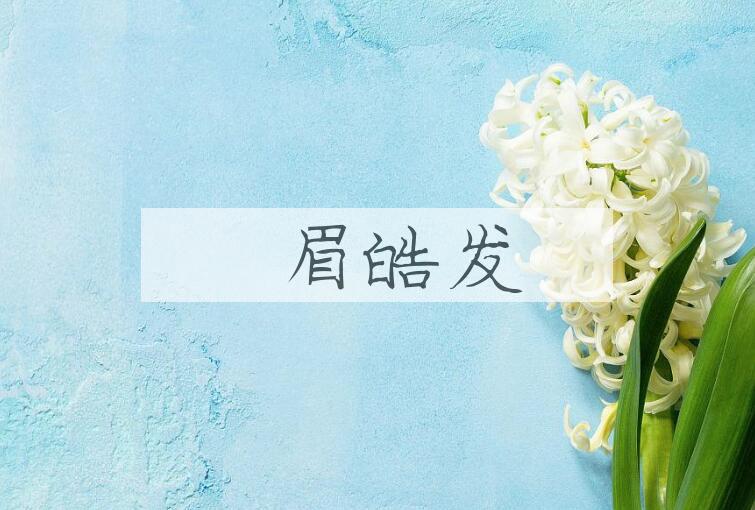 成语尨眉皓发是什么意思？