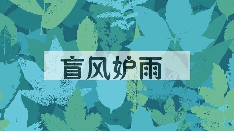成语盲风妒雨是什么意思？