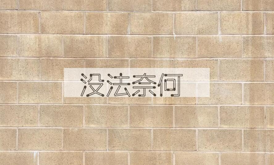 成语没法奈何是什么意思？
