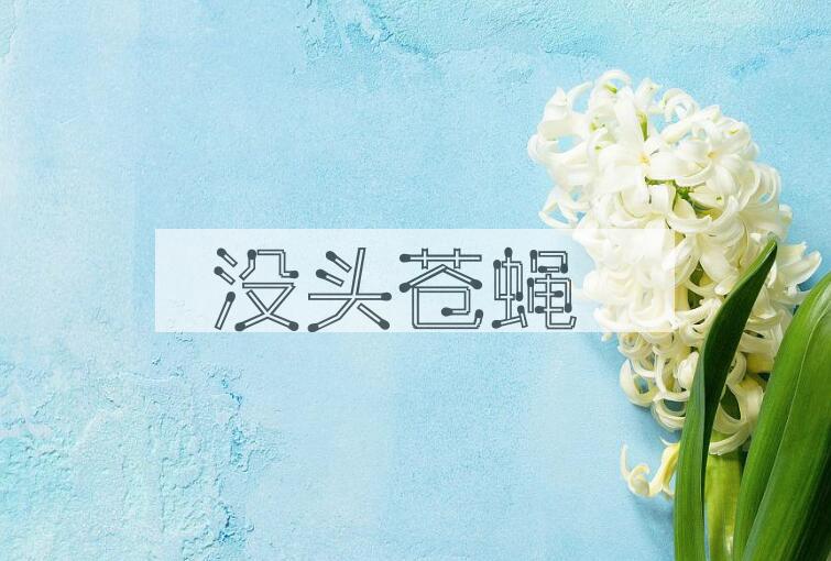 成语没头苍蝇是什么意思？