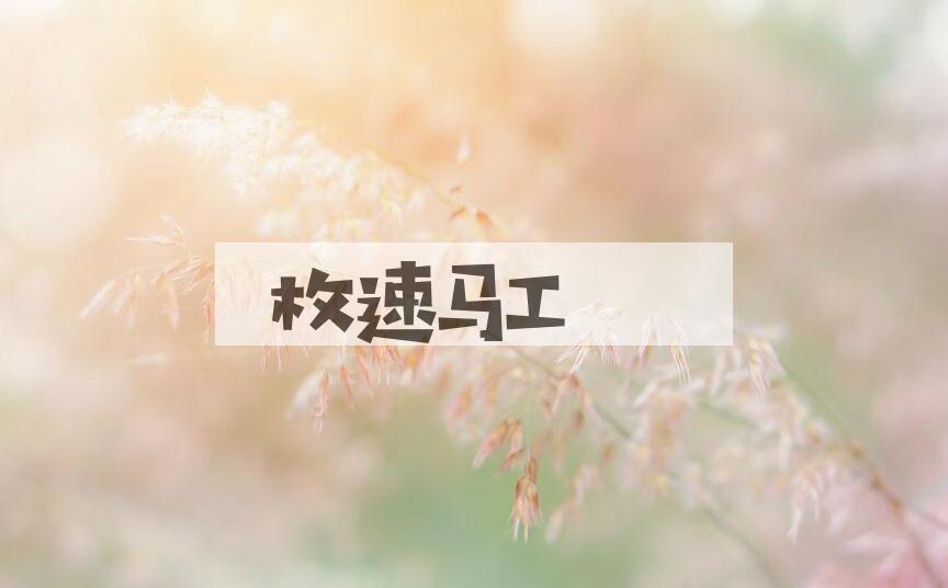 成语枚速马工是什么意思？