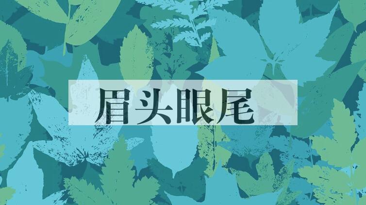 成语眉头眼尾是什么意思？
