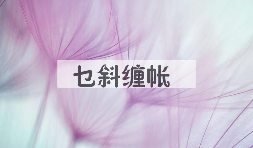 成语乜斜缠帐是什么意思？