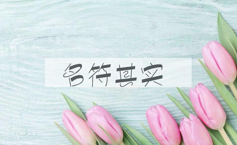 成语名符其实是什么意思？
